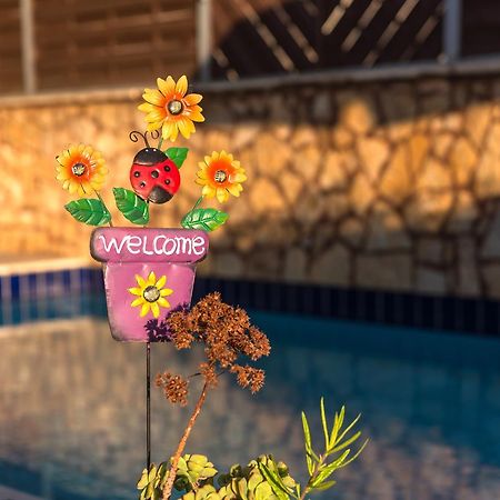 Villa Apollon II Szfáka Kültér fotó